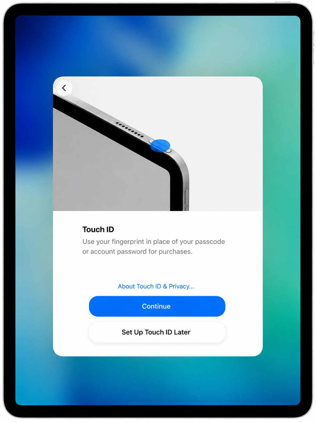 Touch ID setup screen